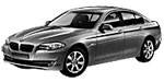 BMW F10 B17FB Fault Code